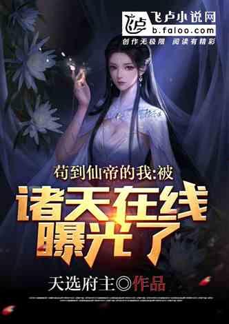 视频爆料小说在线观看,视频爆料小说在线观看背后的秘密